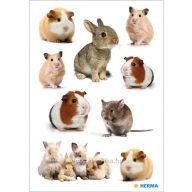 Matrica Herma "Decor" Rodent Family