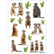 Matrica Herma "Decor" Meerkats