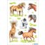 Matrica Herma "Decor" Marked Horses