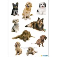 Matrica Herma "Decor" Dog photos
