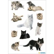 Matrica Herma "Decor" Cat photos