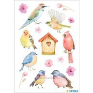 Matrica Herma "Decor" Song Birds