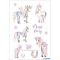 Matrica, glitteres Herma "Magic" Pony