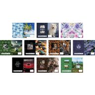 Füzetboritó A/4 betétes  T-Creativ vegyes minta