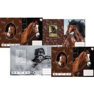   Füzetborító A/5 betétes 4x5 db/csomag T-Creativ "Horses
