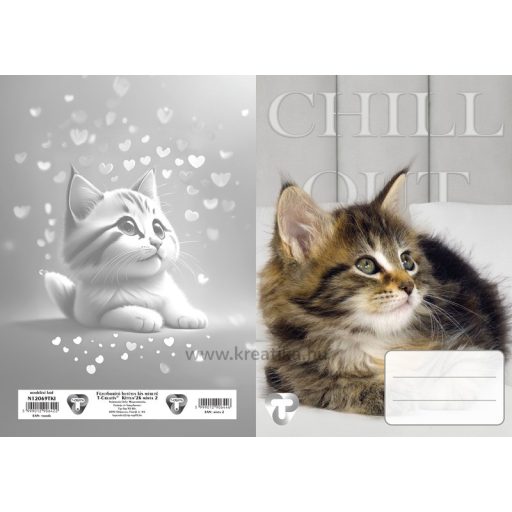 Füzetborító A/5 betétes 4x5 db/csomag T-Creativ "Kitten