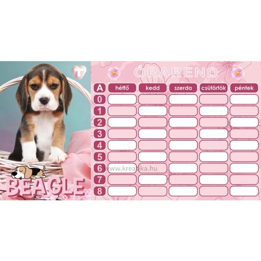 Órarend 8x15 cm 25 db/csomag T-Creativ "Puppies