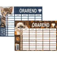 Órarend 11,7x16,5 cm 25 db/csomag T-Creativ "Cats