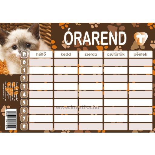 Órarend 11,7x16,5 cm 25 db/csomag T-Creativ "Cats