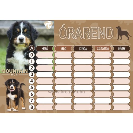 Órarend 16,5x23,5 cm 25 db/csomag T-Creativ "Dogs