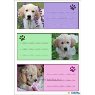 Füzetcímke3 ív/csomag  Herma "Dogs