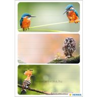 Füzetcímke 3 ív/csomag Herma "Birds