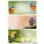 Füzetcímke 3 ív/csomag Herma "Birds