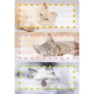 Füzetcímke 2 ív/csomag Herma "Cats